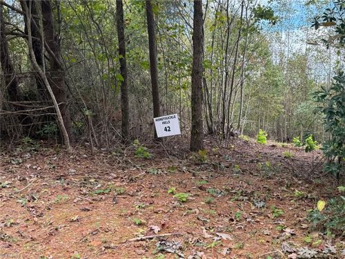 Lot 42 Billings Hill Church Road, Traphill, NC, 28685 | Card Image