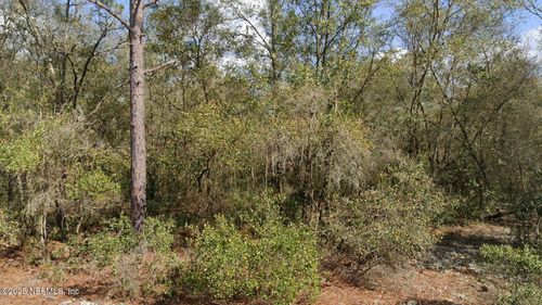 0 Virginia St, Interlachen, FL, 32148 | Card Image