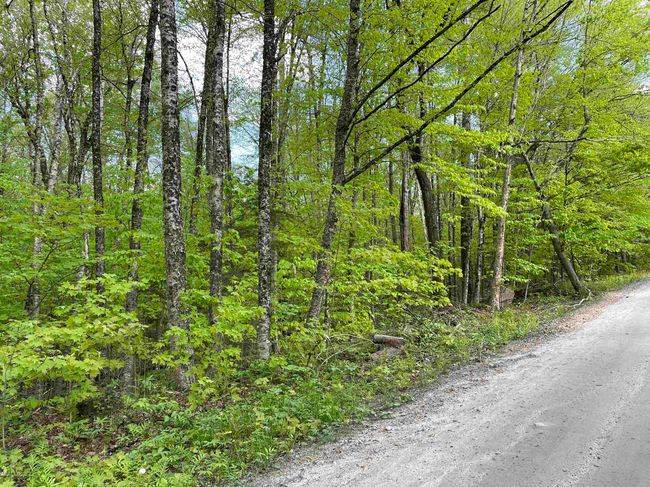 0 Snell Rd, Home with 0 bedrooms, 0 bathrooms and null parking in Chester VT | Image 18