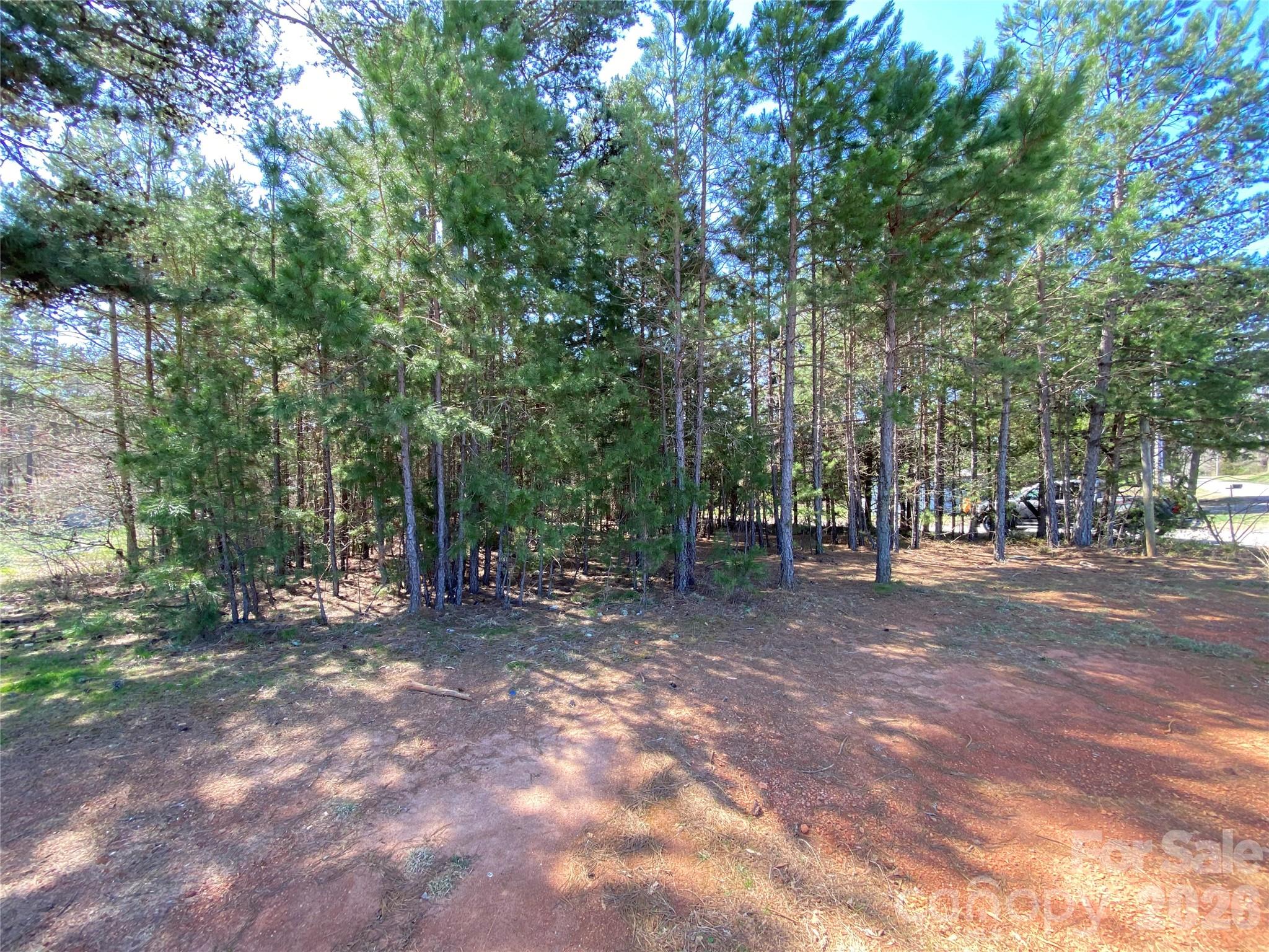Land in Lincolnton 5