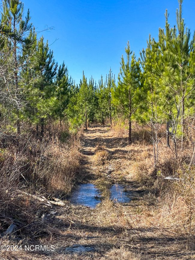 00 Sykes Town Rd, Home with 0 bedrooms, 0 bathrooms and null parking in Currie NC | Image 30