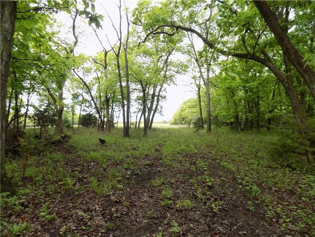 1267 Rock Creek Rd, Home with 0 bedrooms, 0 bathrooms and null parking in Williamsburg KS | Image 30
