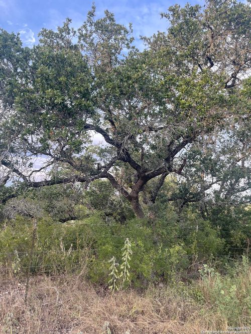 TBD County Road 265, Mico, TX, 78056 | Card Image