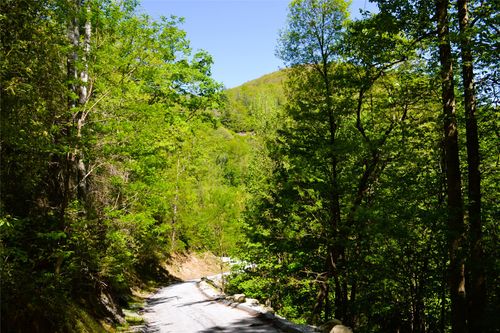 Lot 19 Speckled Feather Pass, Sapphire, NC, 28774 | Card Image