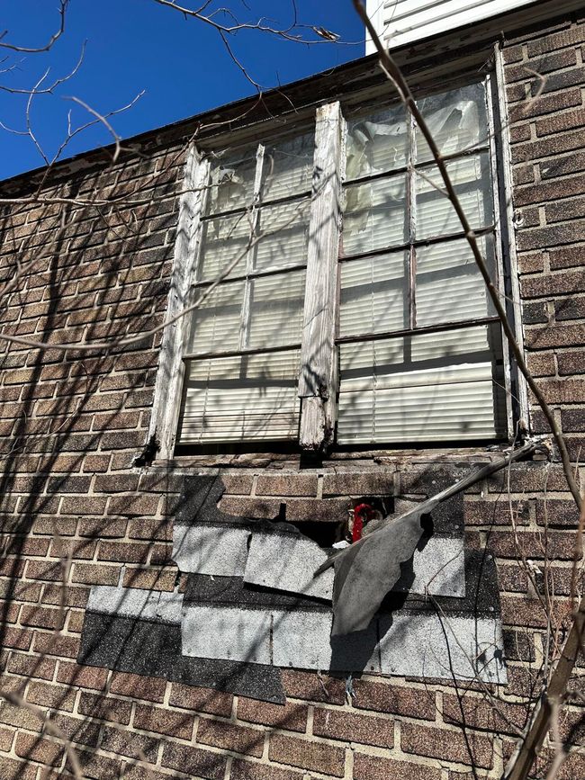 6 | Image 6