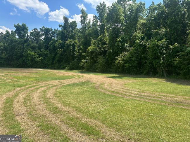 925 Cleary Rd, House other with 3 bedrooms, 2 bathrooms and null parking in Brooklet GA | Image 29