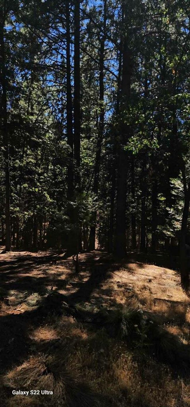 5701 Lupin Lane, Home with 0 bedrooms, 0 bathrooms and null parking in Pollock Pines CA | Image 15