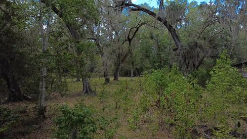 5813 Sw 127th Ave, MICANOPY, FL, 32667-3160 | Card Image
