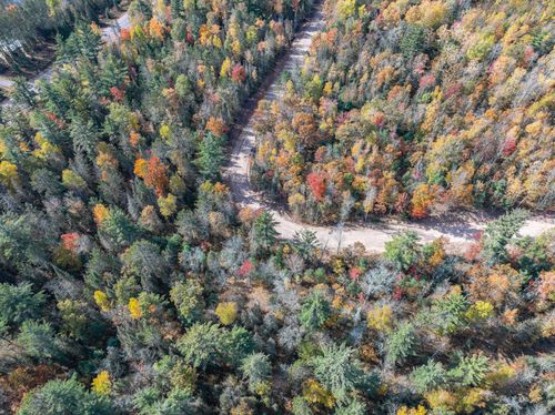 Lot 22 Butternut Cir, Eagle River, WI, 54521-7370 | Card Image