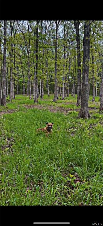Land in Robertsville 5