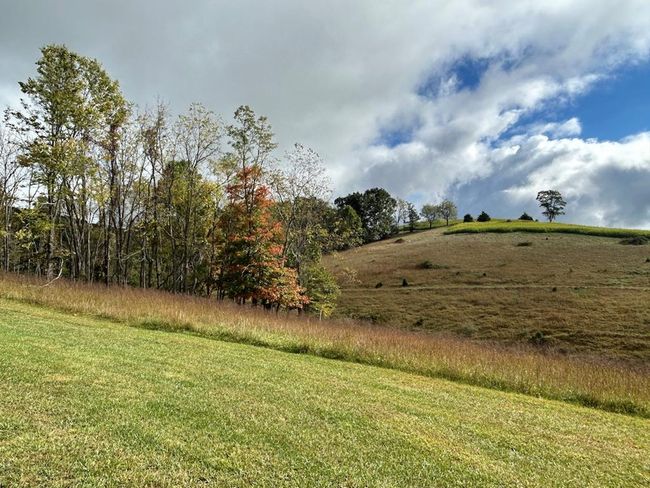 621 Point Pleasant Rd, House other with 2 bedrooms, 1 bathrooms and null parking in BLAND VA | Image 44