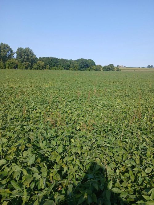 61.47 County Road T, Franklin, WI, 54247 | Card Image