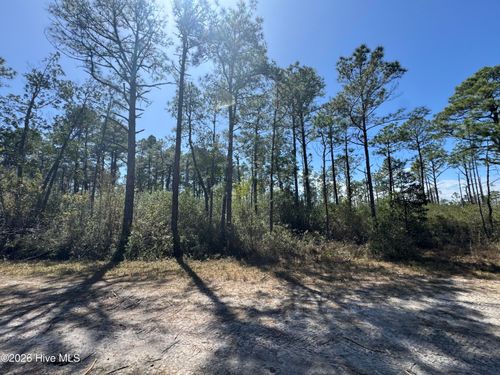Lot 490 Craven Street, Boiling Spring Lakes, NC, 28461 | Card Image
