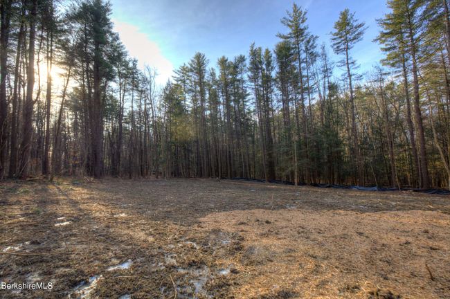 13 Rattlesnake Mtn Rd, Home with 0 bedrooms, 0 bathrooms and null parking in Stockbridge MA | Image 8