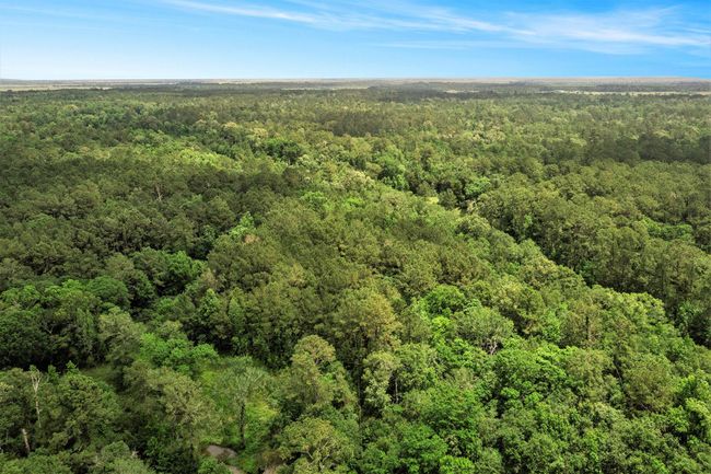 This photo showcases a vast expanse of dense, lush green forest under a clear blue sky, ideal for those seeking a serene, nature-filled environment. | Image 9
