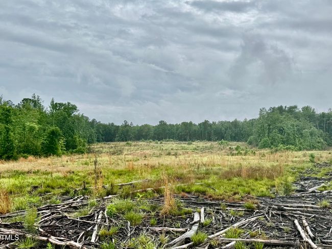 1 | Image 5