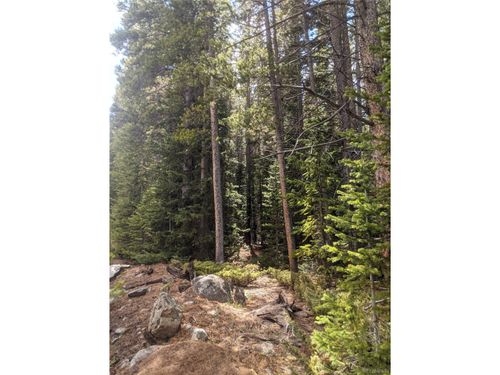 10608 Christopher Dr, Conifer, CO, 80433 | Card Image