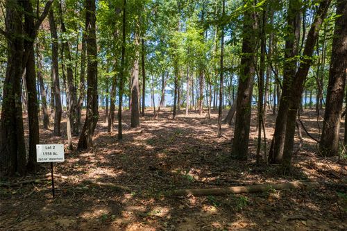 TBD Pvt Rd 52447, Leesburg, TX, 75451 | Card Image