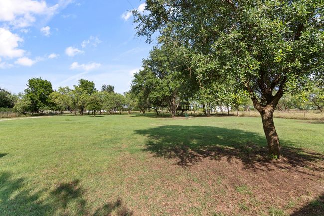 View of green lawn | Image 5