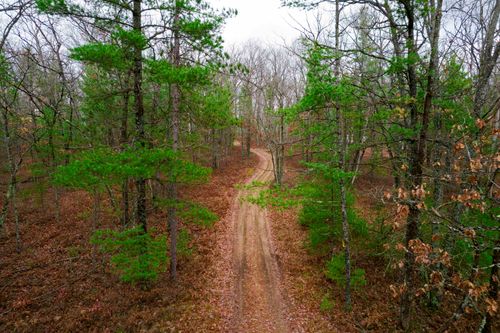 V/L W Jones Lake Road, Grayling Charter Township, MI, 49738 | Card Image