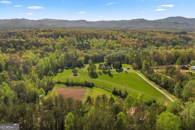 812 Lickskillet Rd, House other with 4 bedrooms, 3 bathrooms and null parking in Epworth GA | Image 49