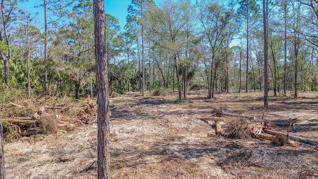 0 Ne Webb Ln, Home with 0 bedrooms, 0 bathrooms and null parking in Steinhatchee FL | Image 14