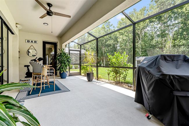 10880 Cory Lake Dr, House other with 3 bedrooms, 2 bathrooms and null parking in TAMPA FL | Image 33