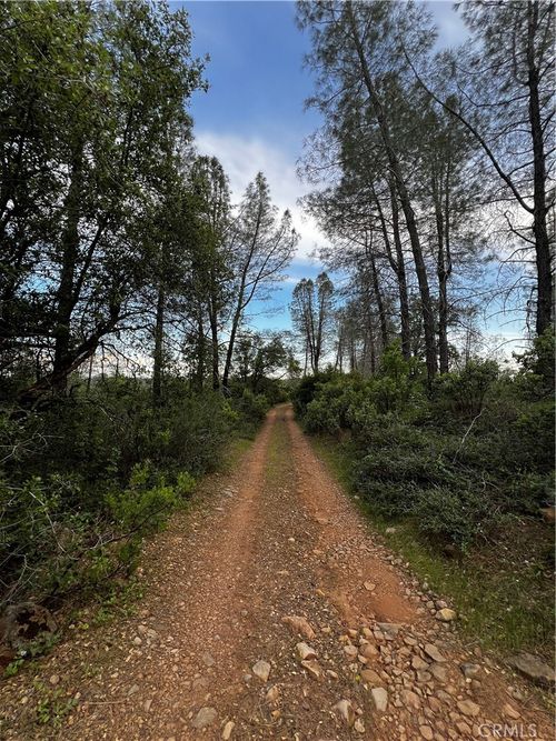 0 Donkey Mine Rd, Oak Run, CA, 96069 | Card Image