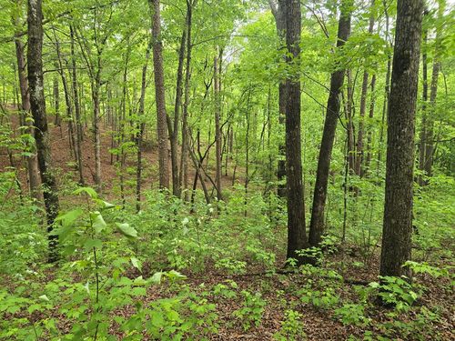 0 Pinnacle Drive, Ellijay, GA, 30540 | Card Image