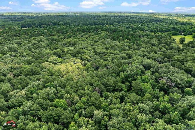 TRACT-2 - TBD Pr 1335, Home with 0 bedrooms, 0 bathrooms and null parking in Marshall TX | Image 12