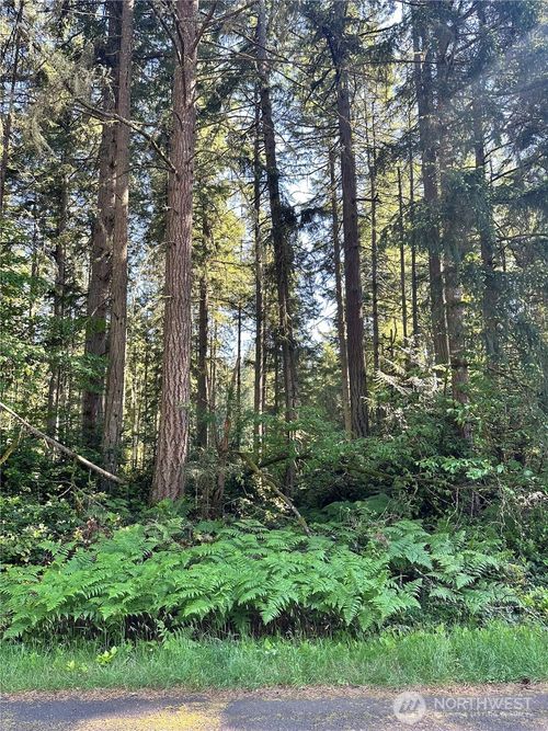 11825 112th Ave, Anderson Island, WA, 98303 | Card Image