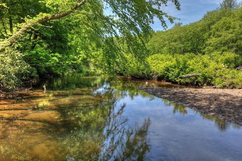 1717 Grassy Creek Rd, Copperhill, TN, 37317 | Card Image