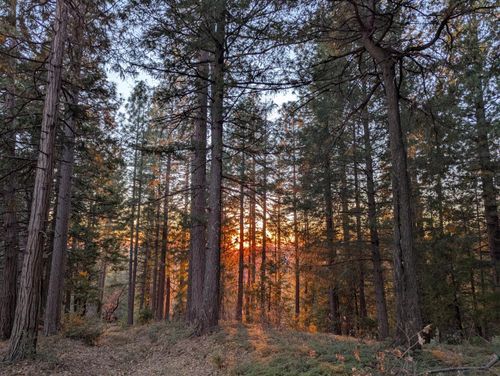 3000 Moody Ridge Rd, Gold Run, CA, 95717 | Card Image