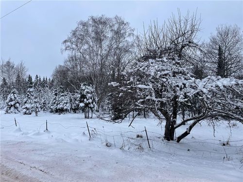 20 County Hwy F, Butternut, WI, 54514 | Card Image