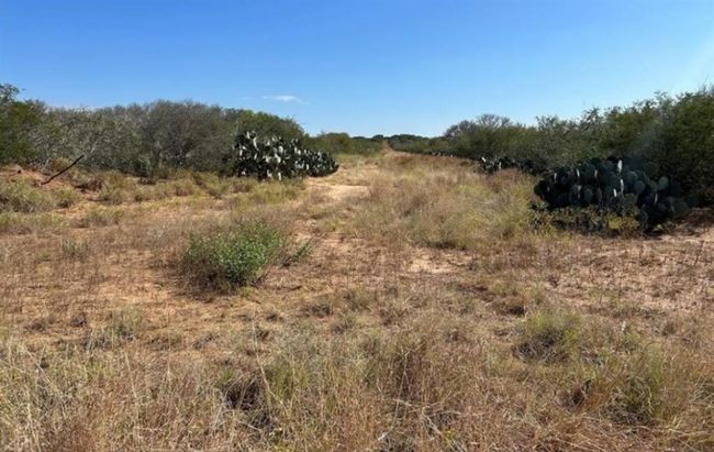 0 N Mesquite St, Home with 0 bedrooms, 0 bathrooms and null parking in Pearsall TX | Image 6