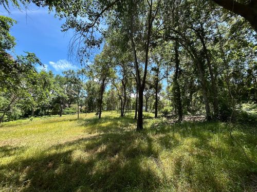 LOT TR 5B Stevenson Rd, Frankston, TX, 75763 | Card Image