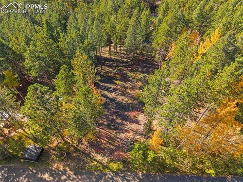 1320 Forest Edge Rd, Woodland Park, CO, 80863-2409 | Card Image