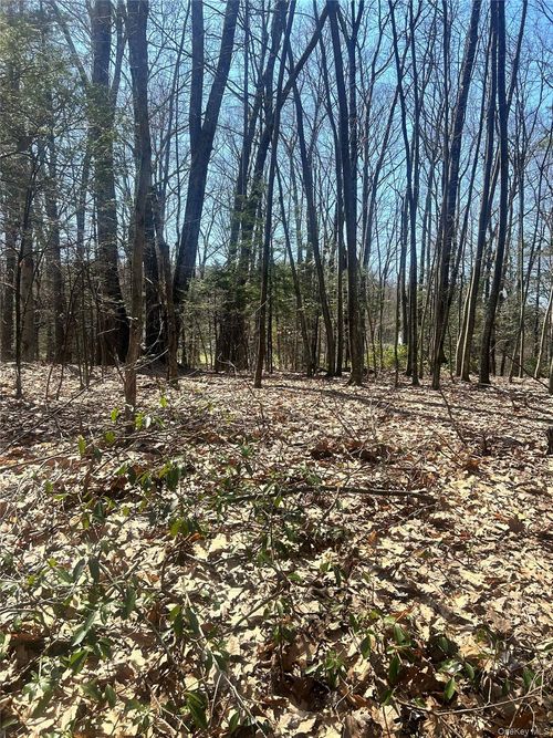 TBD Sidney St, Kerhonkson, NY, 12446 | Card Image