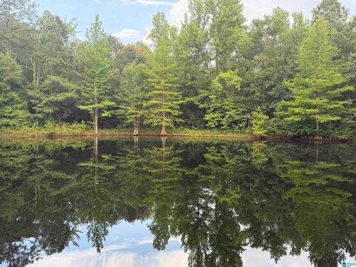 299 County Road 443, Verbena, AL, 36091-2606 | Card Image