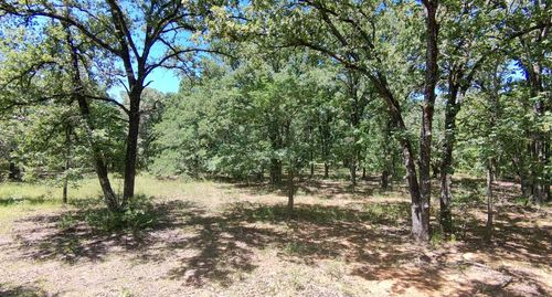 Lot 19 Saddle Creek Ct, Alba, TX, 75410 | Card Image