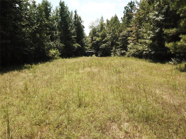 00 Highway 371, Home with 0 bedrooms, 0 bathrooms and null parking in Rosston AR | Image 9