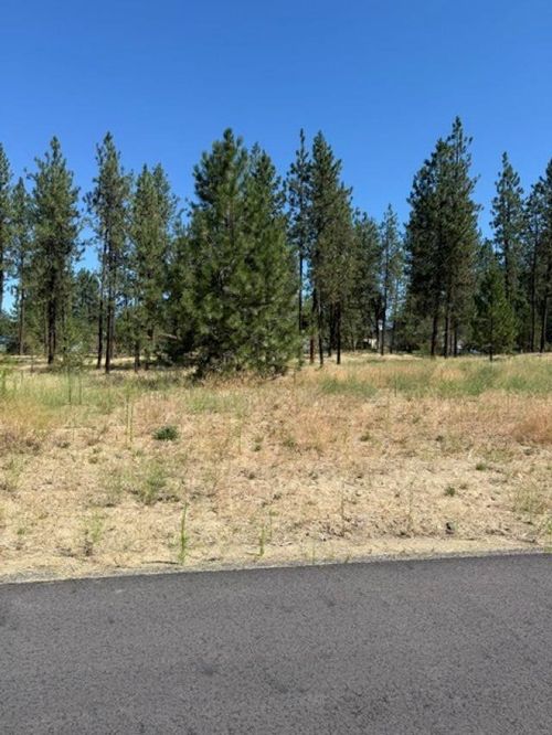 Lot 15 Long Lake Estates Est, Nine Mile Falls, WA, 99026 | Card Image
