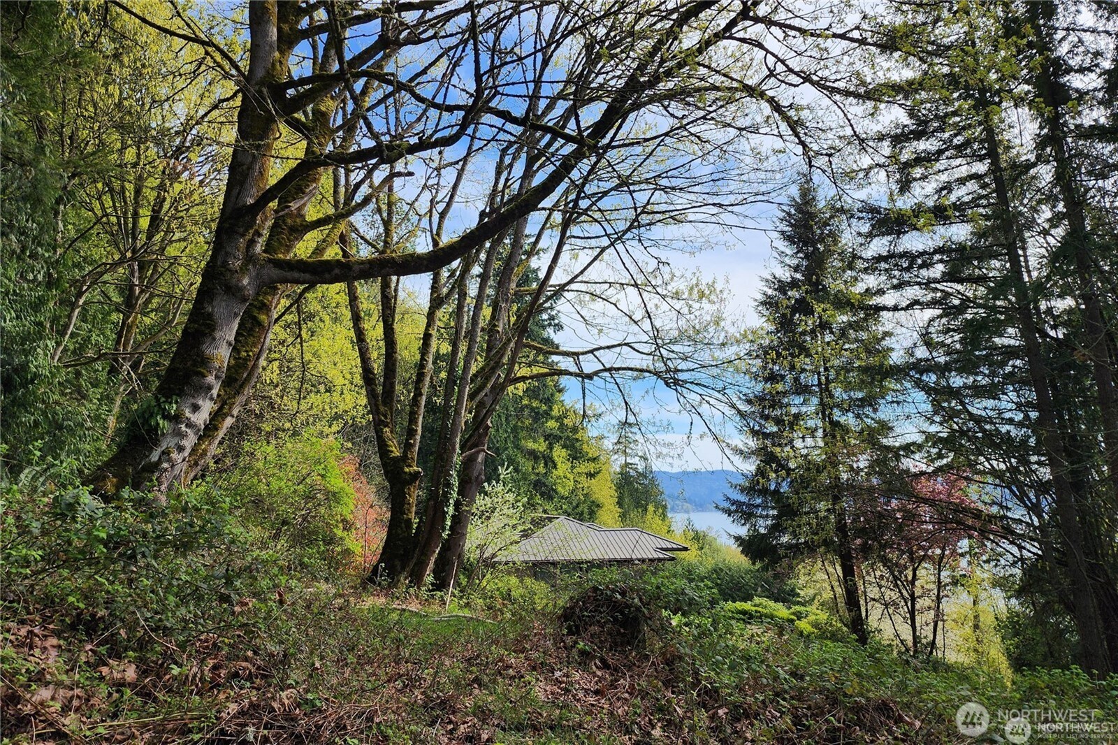 Land in Sammamish 4