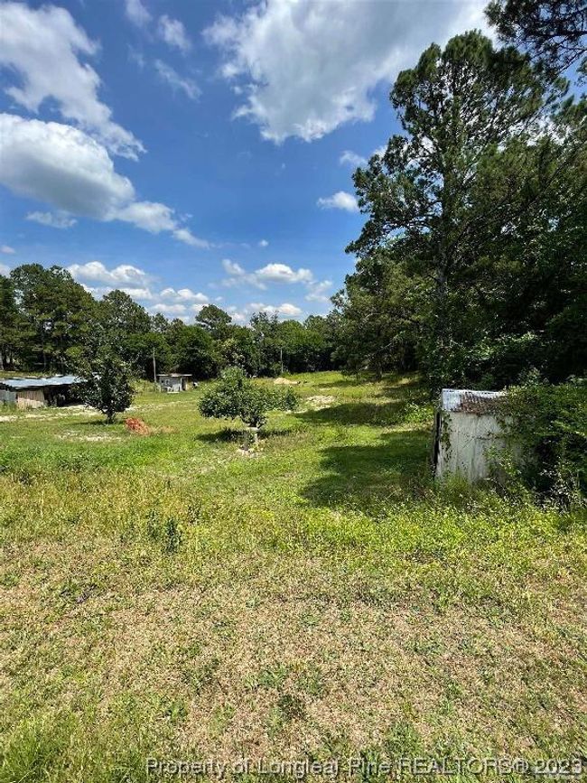 1651 Raynor Mc Lamb Road, House other with 3 bedrooms, 2 bathrooms and null parking in Linden NC | Image 4