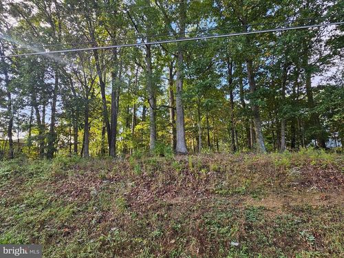 2064 Senseny Rd, Winchester, VA, 22602-8917 | Card Image