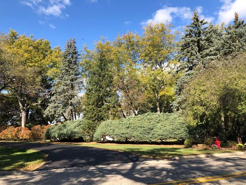 380-320-380 Highland Ave, Algonquin, IL, 60102-3181 | Card Image