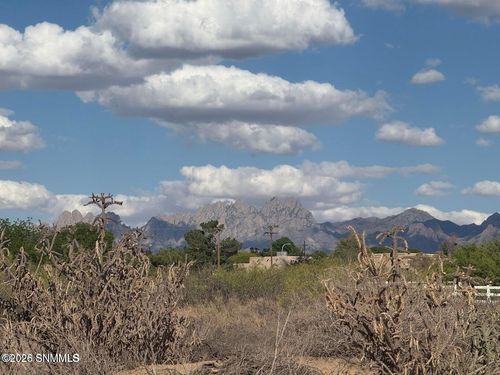 TBD Holliday Ln, Las Cruces, NM, 88007 | Card Image