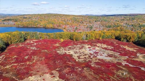 1443 Old Augusta Road, Waldoboro, ME, 04572 | Card Image