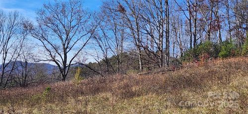 1-1 Gaylors Branch Rd, Balsam Grove, NC, 28708-9660 | Card Image