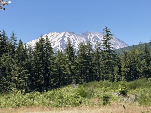 9-0 Lahar Ln, Cougar, WA, 98616 | Card Image
